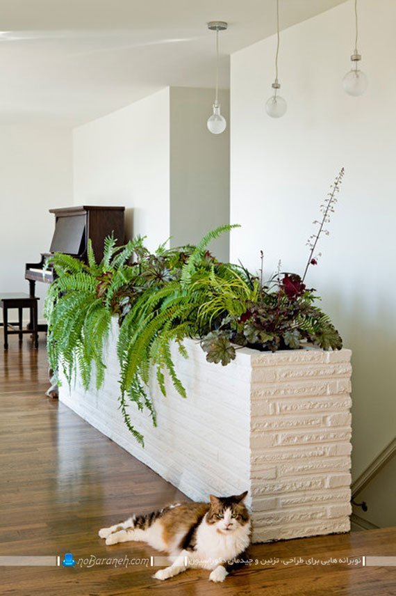 طراحی باغچه در داخل خانه. ساخت باغچه در آپارتمان