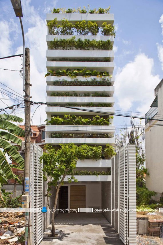 تزیین نمای ساختمان با گیاهان طبیعی
