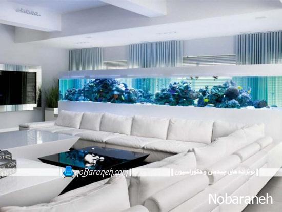 آکواریوم خانگی تو کار و روکار در مدل های بزرگ و زیبا