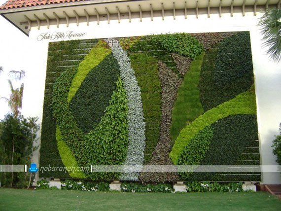 تزیین دیوارهای بیرونی و دیوار حیاط با گیاهان سبز