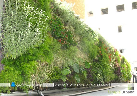 نمای دیوار حیاط با گل و گیاهان