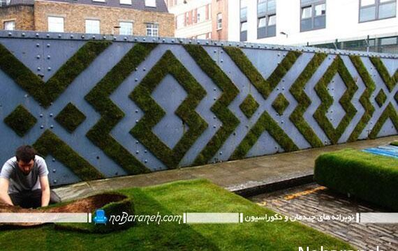 پوشش دیوار حیاط با گیاهان