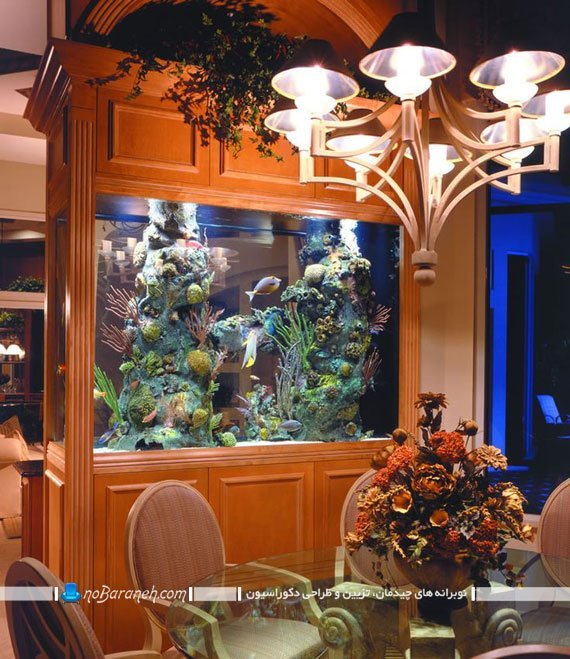 آکواریوم، پارتیشن جدا کننده فضا