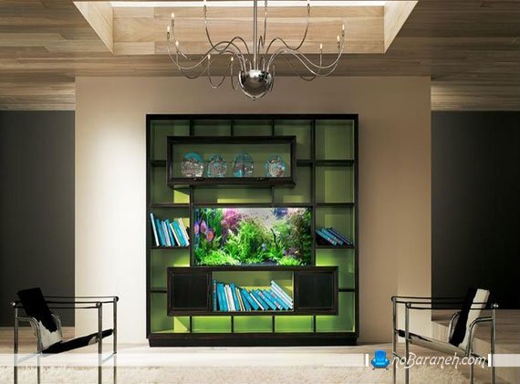 آکواریوم دکوری