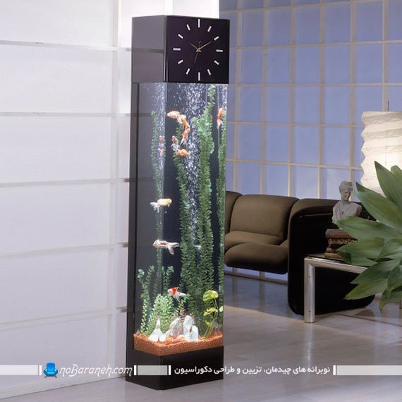 آکواریوم کوچک تزیینی