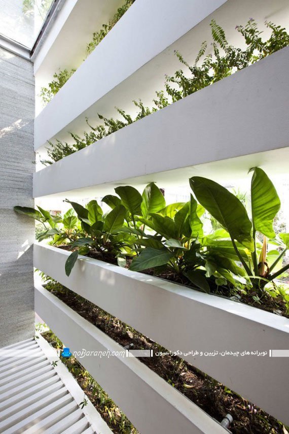 نمای طبیعی و گیاهی ساختمان تزیین راهرو منزل با گل و گیاهان