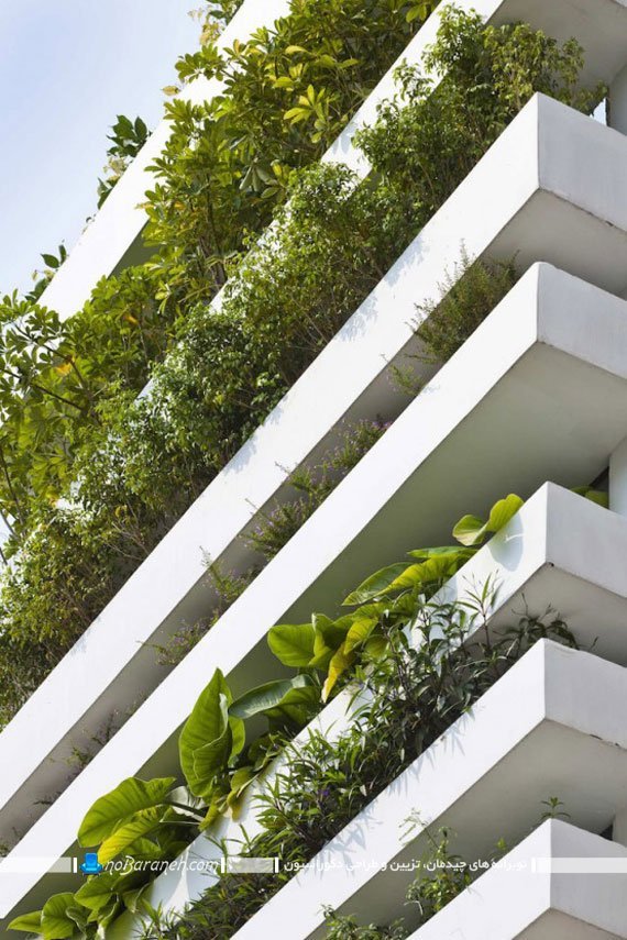 نمای گیاهی ساختمان کوچک تزیین نمای ساختمان با گل و گیاهان
