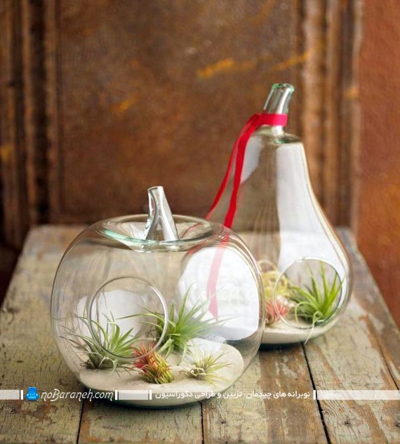 تراریوم و باغ شیشه ای رومیزی. تراریوم رومیزی تزیینی کوچک با اشکال متنوع شیک فانتزی مدرن. تزیینات شیشه ای شیک برای دکوراسیون منزل