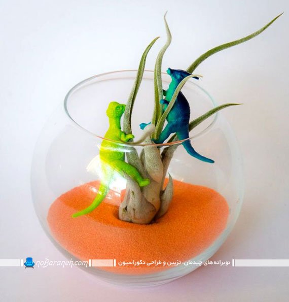مدل تراریوم و باغ شیشه ای کوچک. گلدان شیشه ای کوچک و رومیزی. مدل های ارزان قیمت تراریوم و گلدان شیشه ای