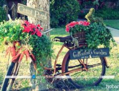 مدلهای تزیین حیاط خانه و باغچه با دوچرخه قدیمی و گلها