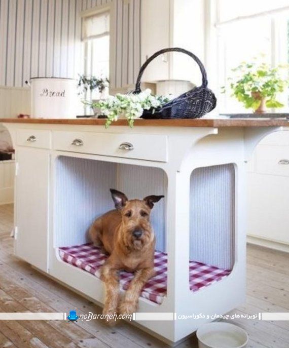 طراحی لانه سگ در کابینت آشپزخانه