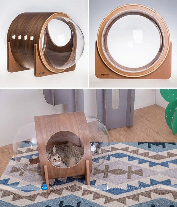 لانه گربه خانگی با طراحی چوبی و شیشه ای