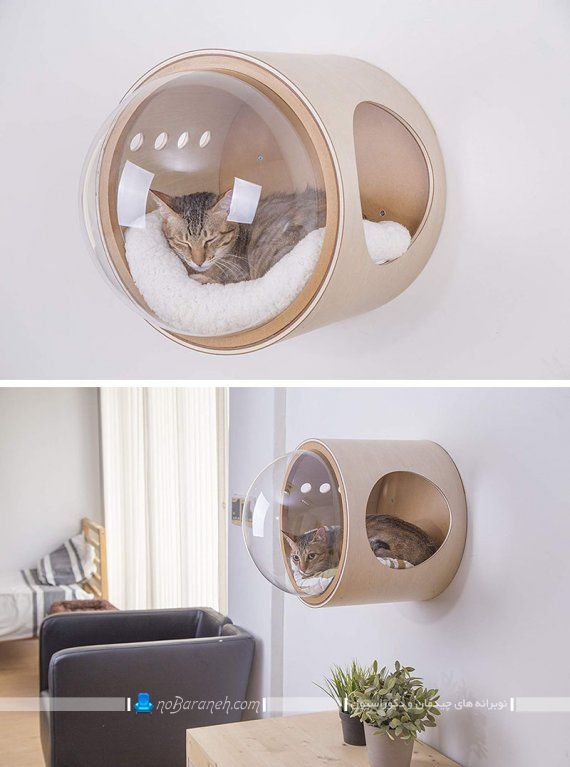 لانه گربه خانگی با جنس چوبی و شیشه ای در مدل دیواری