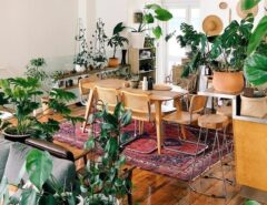 مدلهای شیک و خلاقانه تزیین خانه با گل و گیاه طبیعی